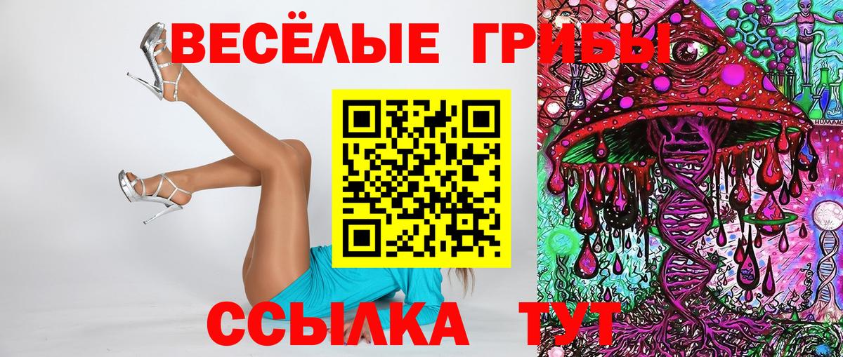 Псилоцибиновые грибы Cubensis  Вход с VPN  Ульяновск 