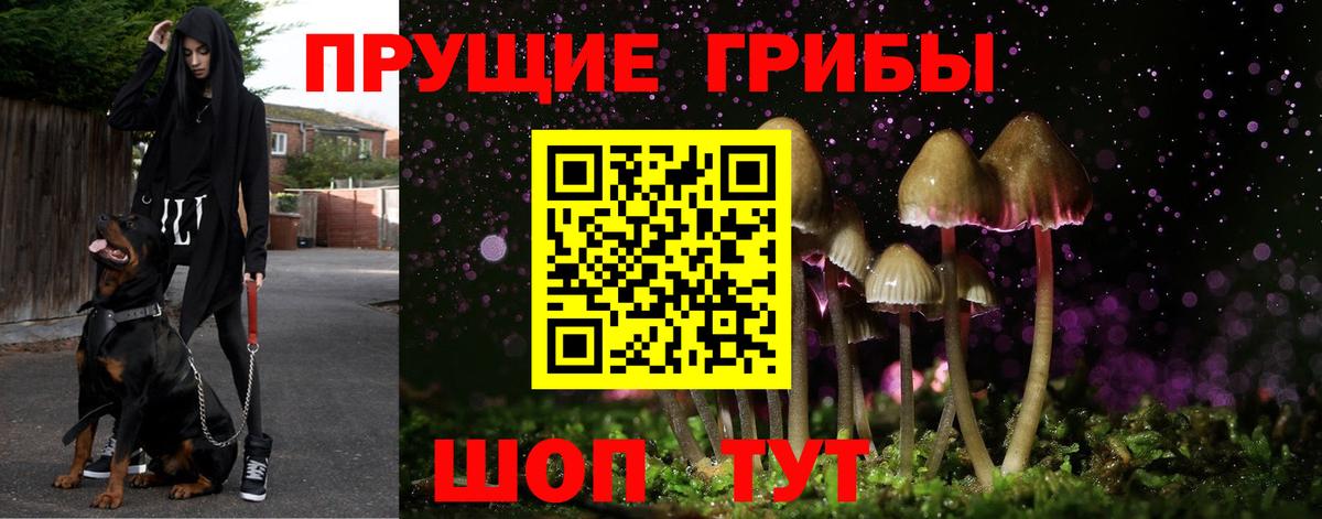 Галлюциногенные грибы Magic Shrooms Ульяновск